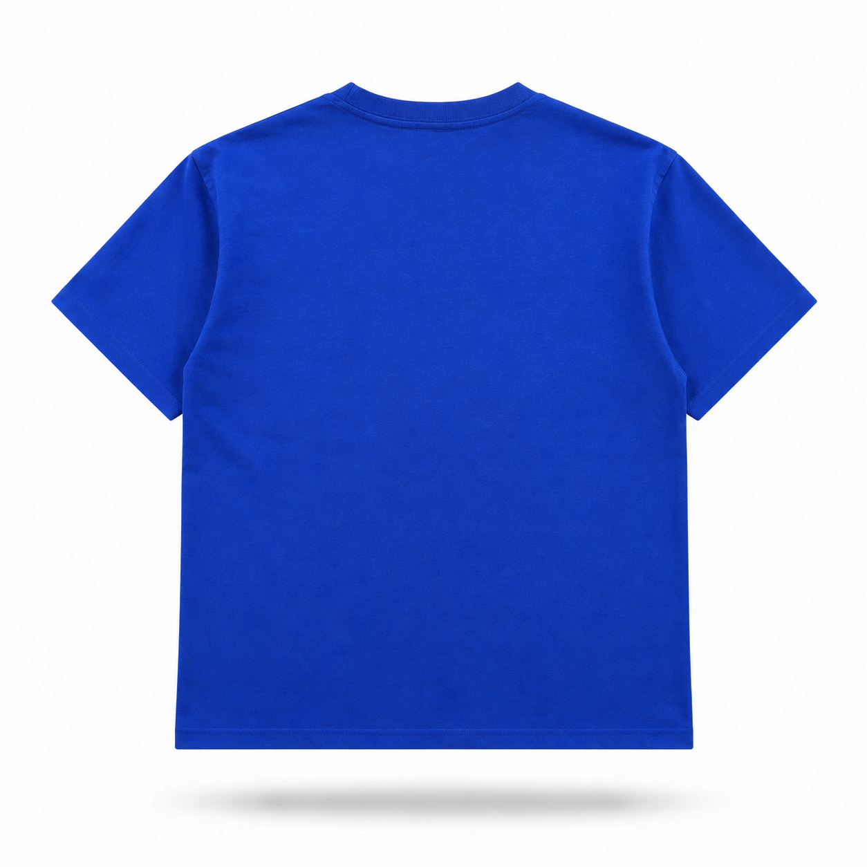 Camiseta Sp5der Beluga Azul